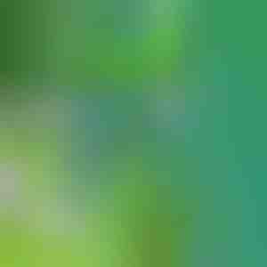 Инструмент за премахване на плевели | SPINOUT