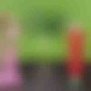 Бавно освобождаващ се органичен тор на таблетки | FERTIGROW