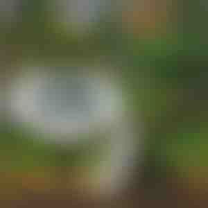 Соларни подови лампи за външна употреба (3 бр.) | LUMIGARD