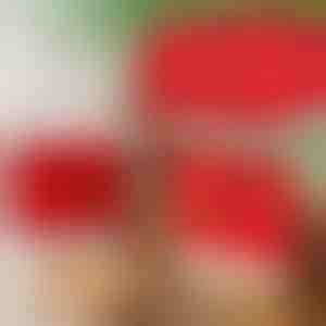 Коледен стил покривала за столове за хранене (4 бр.) | SANTASEAT