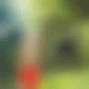 Преносим душ | SHOWDY