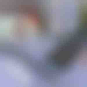 Слънцезащитна щора за автомобил и прозорец | SUNGUARD