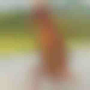 Надуваем костюм на динозавър | TREXCOS