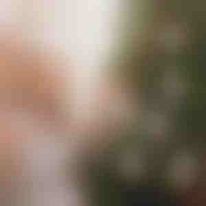 Коледни орнаменти за пари (4 бр.) | WEALTHMAS