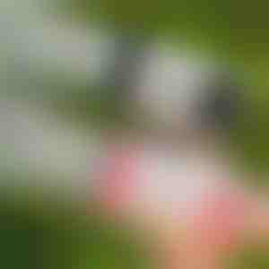 69-дупков LED пистолет за сапунени мехури | BUBBLEPUFF