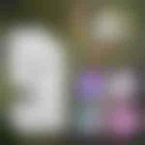 Преносим детски микроскоп | MINISCOPE