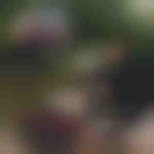 Сгъваема кофа за риболов | RIBETINA