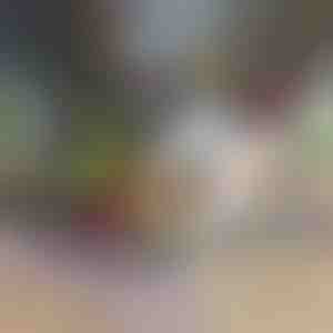 12 в 1 уред за рязане на зеленчуци | CHOPMASTER