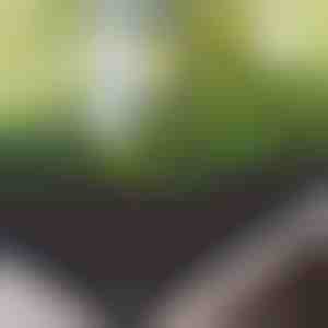 Платнена повдигната градинска леха | FLORAISE