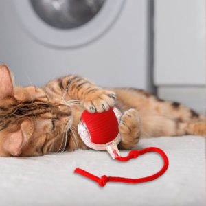 Играчка за домашни любимци, която се движи при докосване | GATOPLAY