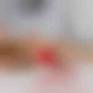 Играчка за домашни любимци, която се движи при докосване | GATOPLAY