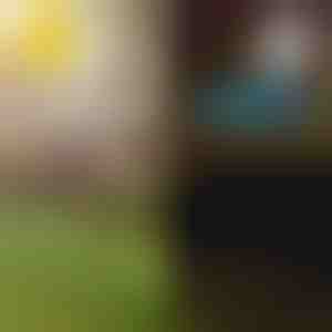 Соларни тропически градински светлини | LUMIPALM