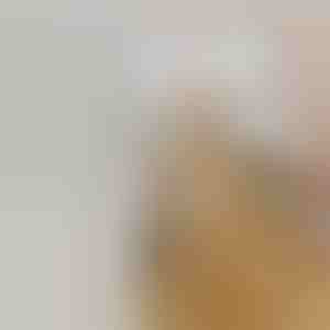 Акумулаторна четка за разпръскване на пара за домашни любимци | GROOMSY