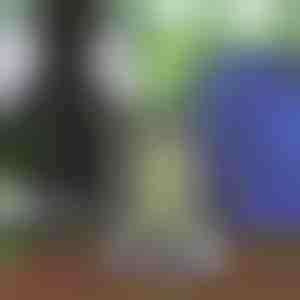 Унисекс Раница с Шнурчета | STRIPEBACK