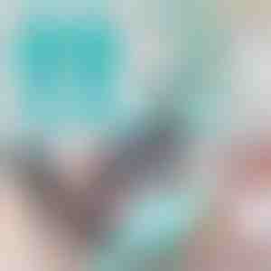 Ръкавици за Груминг и Почистване на Домашни любимци | FURMITTS