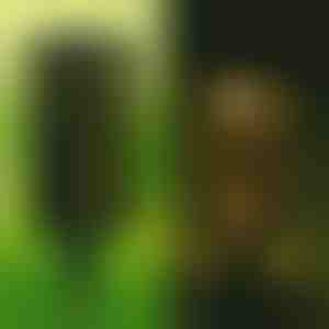 Соларна лампа Decoratove (2 броя) | GARDENIAS