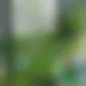 Изкуствени тревни плочки за декорация (5бр) | GRASSTILE