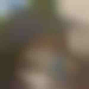 Триъгълен брезент за сянка | SHADI