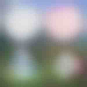 Многофункционален надуваем балон | SLIMEBUB