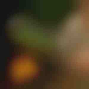 Въртяща се кошница за скара | ROLOGRILL