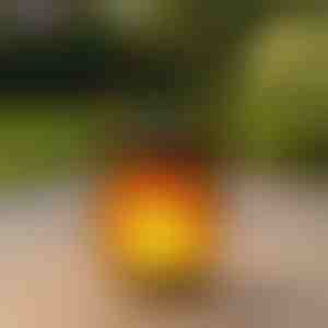 Соларни фенери с ефект на танцуващ пламък | FLAMLUX