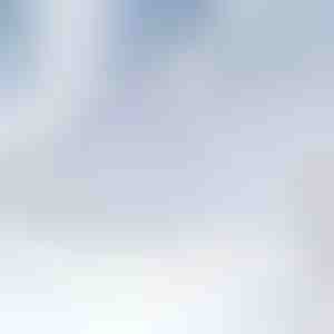 Магнитно покривало за предно стъкло | FROSTCOVER