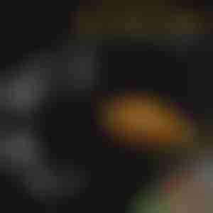 Комплект подложки за хранене в аквариум | FINTROL