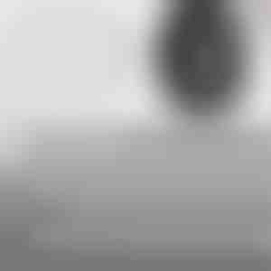 Бързозапечатващи ремонтни пирони за гуми | VULCOFIX