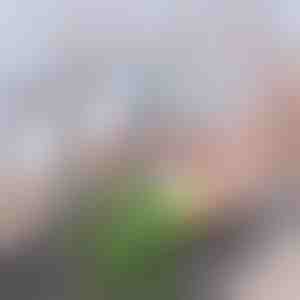 Разширен въглероден филтър за чешмяна вода | CHARFILTER