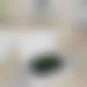 Преносима банка за зареждане на часовници | WATCHBANK