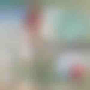 Телескопична метална кука за лодка | FASTDOCK