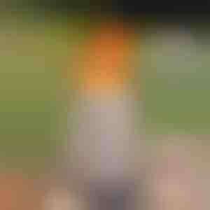 Бездимен настолен огън - истински пламък, без дим, за вътрешна и външна употреба | FIRENOVA