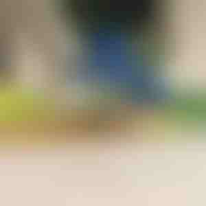 Електрически белач за плодове и зеленчуци | PEELMATIC