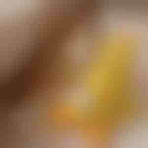 Успокояваща плюшена играчка за кучета с квакащ звук - намалява тревожността при раздяла | CALMQUA