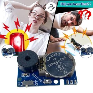 Шегата с щуреца, която никога няма да намерят | CRICKLY