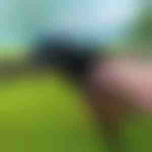 Инструмент за здрави кабелни превръзки | ZIPFLEX