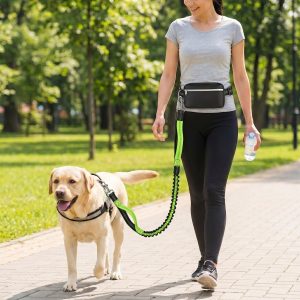 Носима каишка за тичане с куче | DOGZIP