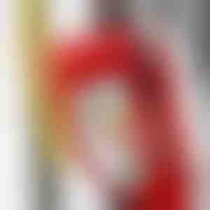Осигурете всяко спиране - 110 dB аларма | ALERTOLOCK