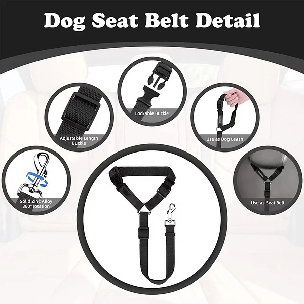 PETBELT-3831127659273-EN-7__140726
