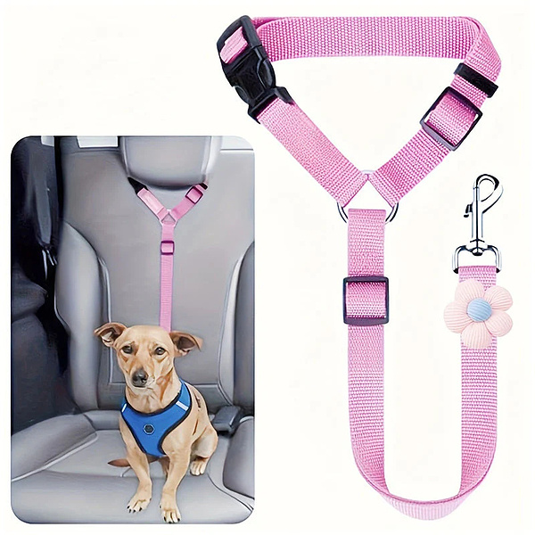 PETBELT-3831127659287-N-3__140726